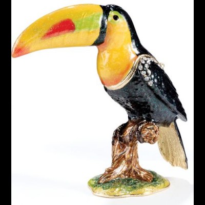 I Can Toucan I Can Toucan